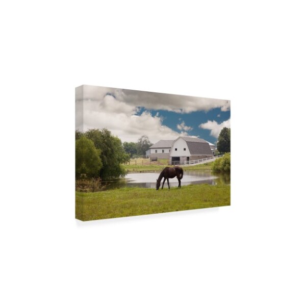 Monte Nagler 'Horse And Barn Shipshewana Indiana Color' Canvas Art,16x24